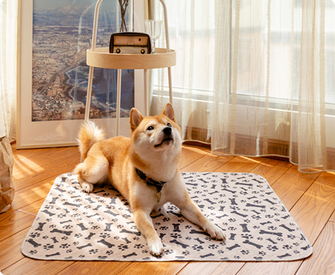 Pet Washable Pee Pad