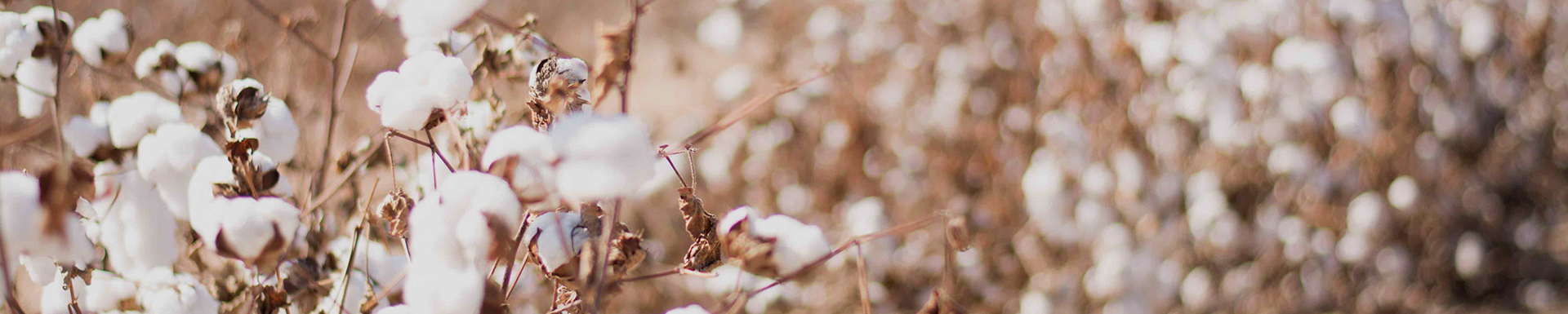 Haining Meike Textile Co., Ltd.